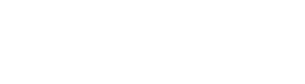 Acente Portal